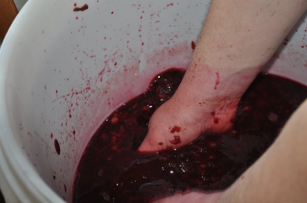 Making wine 1