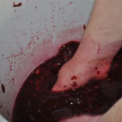 Making wine 1