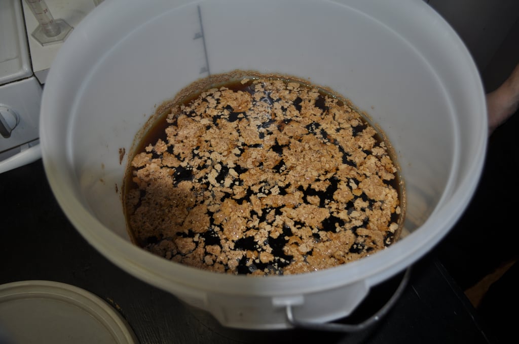 Irish Moss on beer