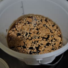 Irish Moss on beer