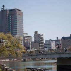 DSC_0219.jpg
