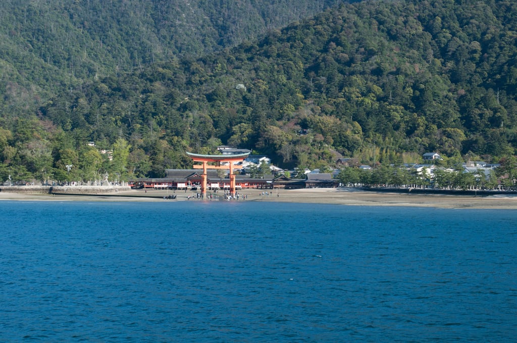 DSC_0302.jpg