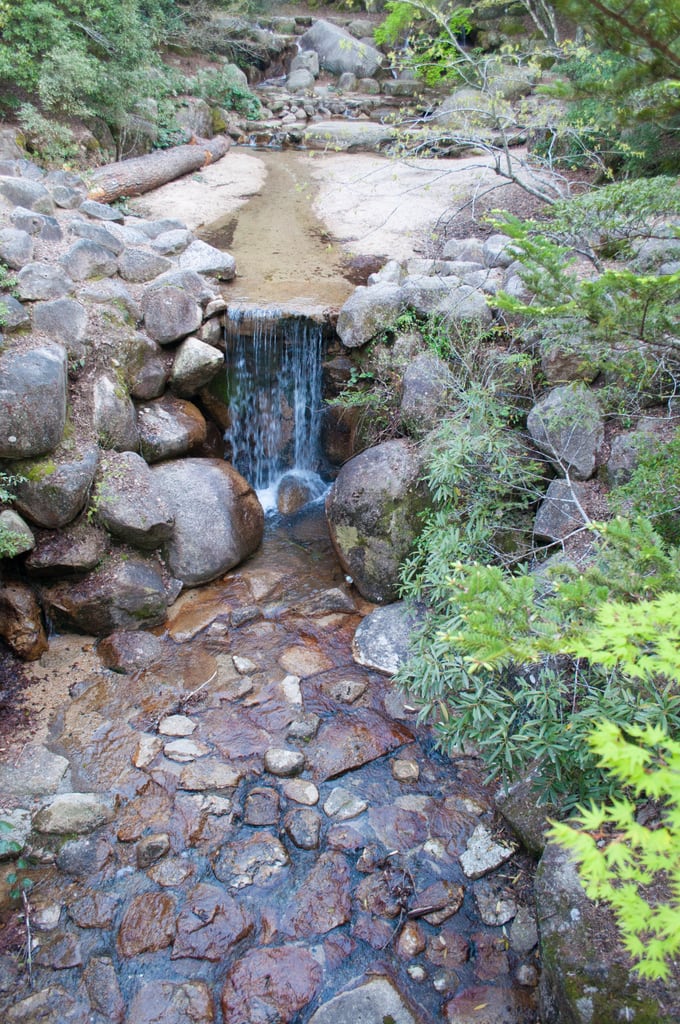 DSC_0370.jpg
