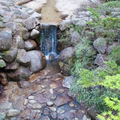 DSC_0370.jpg