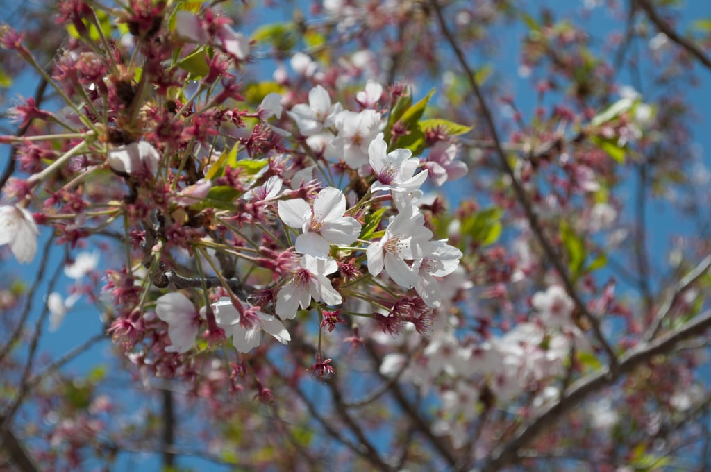 DSC_0395.jpg
