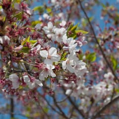 DSC_0395.jpg