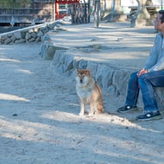 DSC_0357.jpg