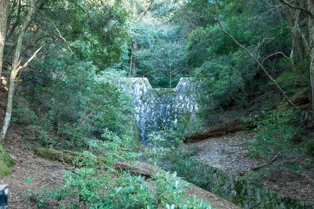DSC_0368.jpg