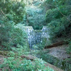 DSC_0368.jpg
