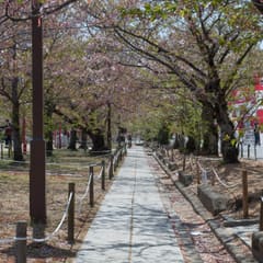 DSC_0411.jpg