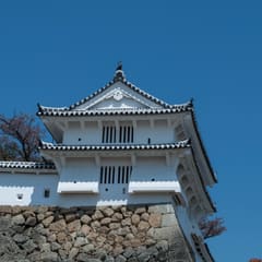 DSC_0409.jpg