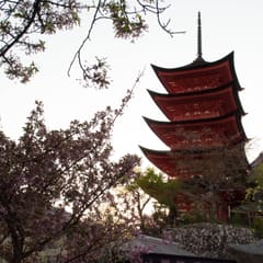 DSC_0383.jpg