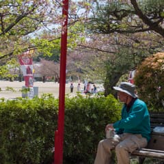 DSC_0396.jpg