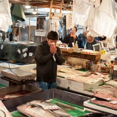 Tokyo fish market