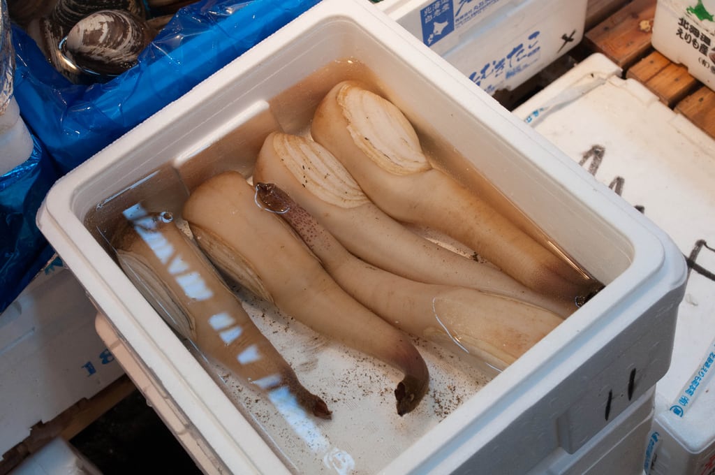 Sea food