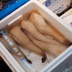 Sea food