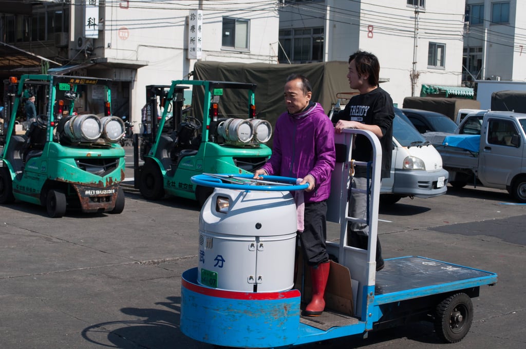 Fish market transportation