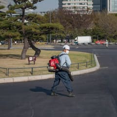 Cleaning the street