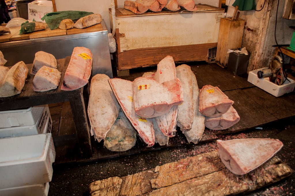 Frozen tuna