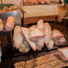 Frozen tuna