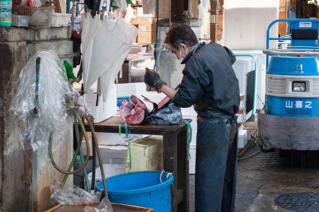 Tuna heads