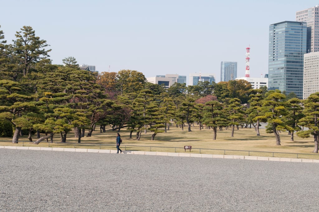 Tokyo skyline