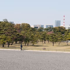 Tokyo skyline