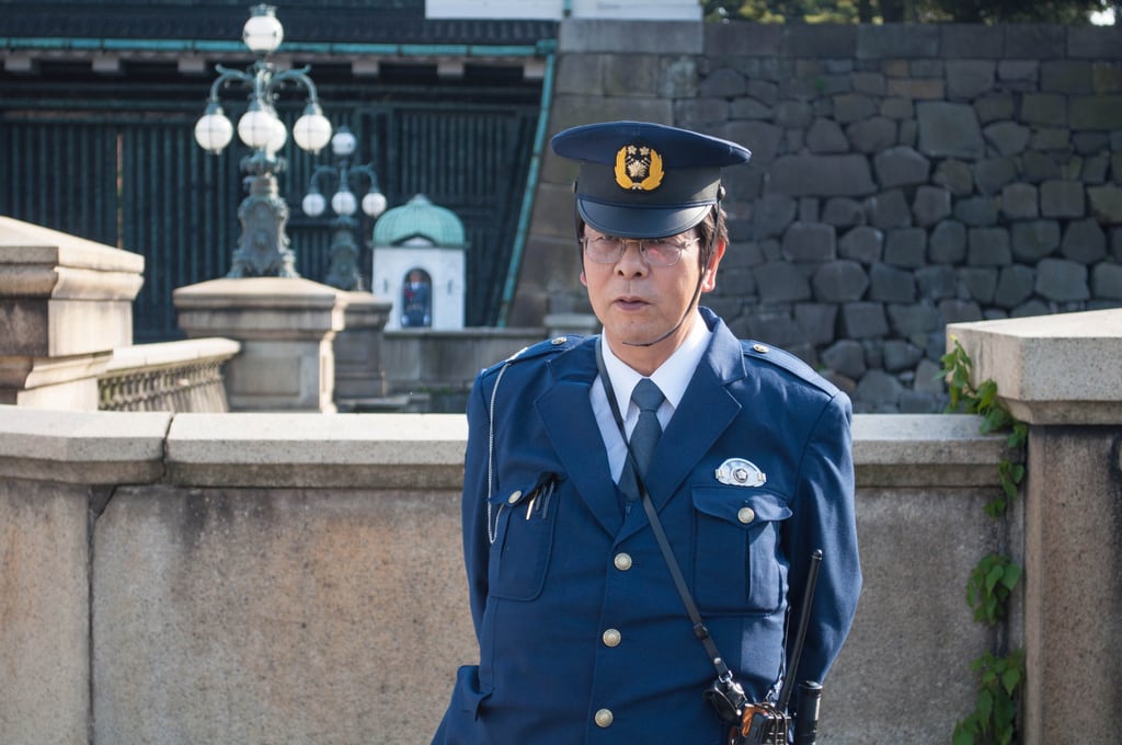 Guard in front of the palace