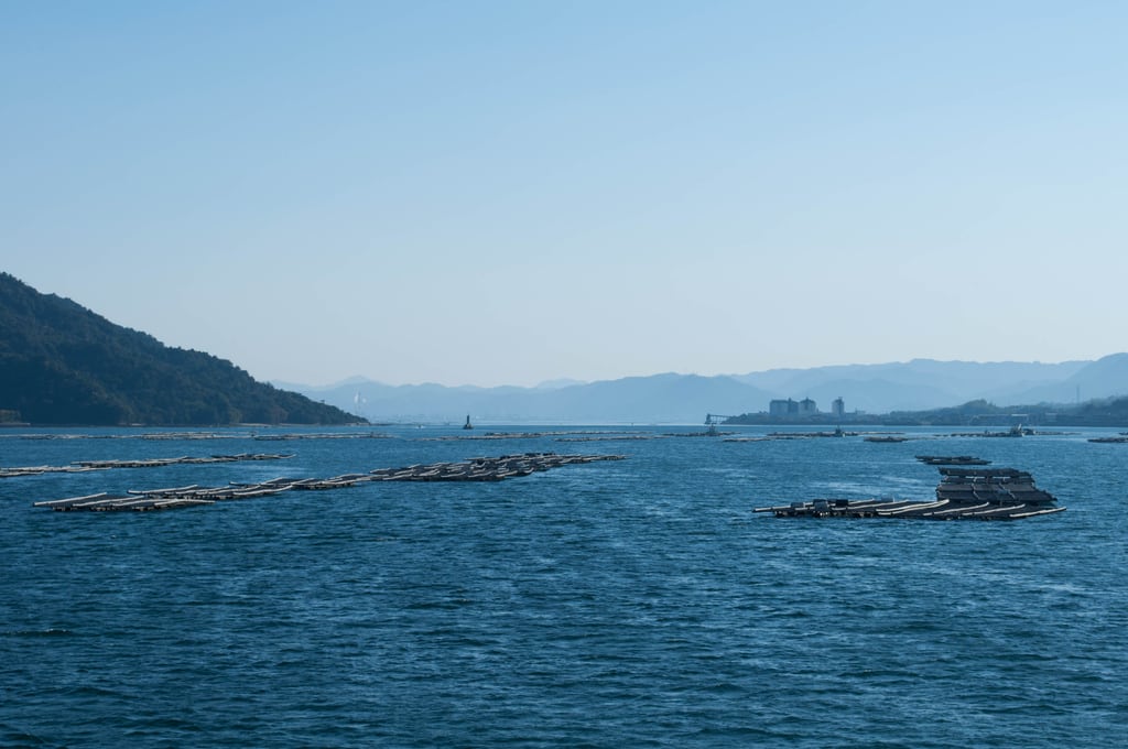 DSC_0290.jpg