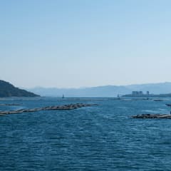DSC_0290.jpg