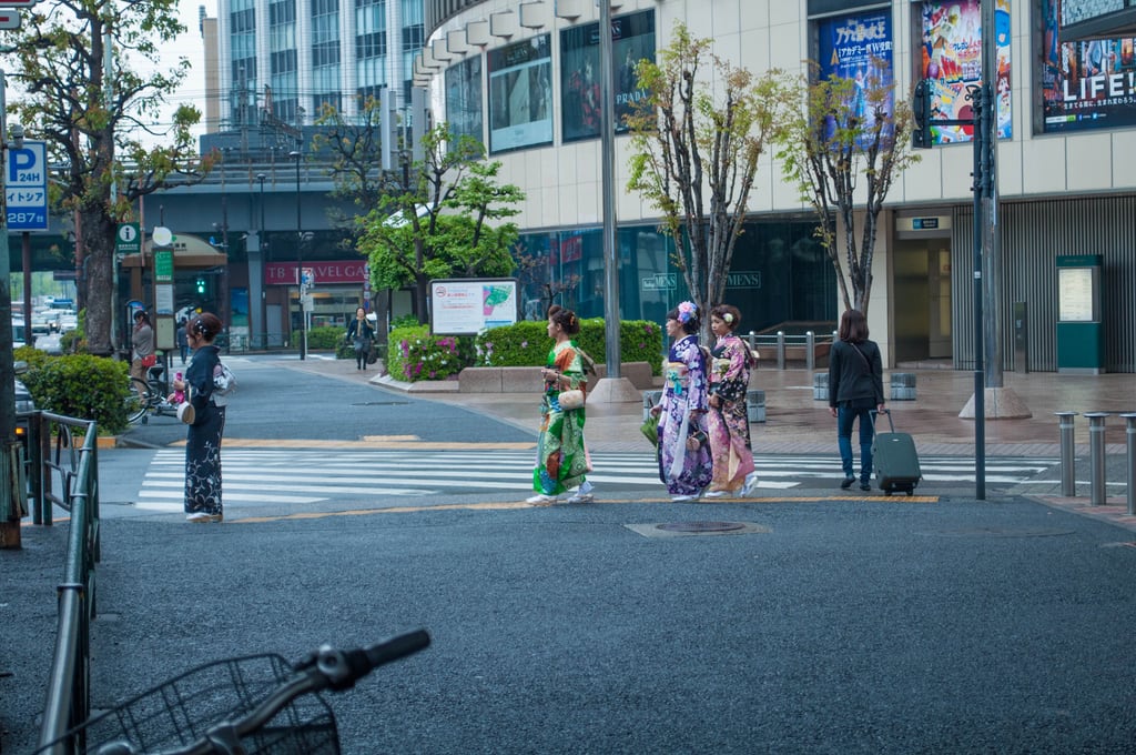 DSC_0476.jpg
