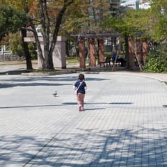 DSC_0233.jpg