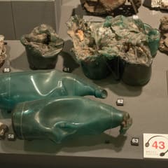 DSC_0270.jpg