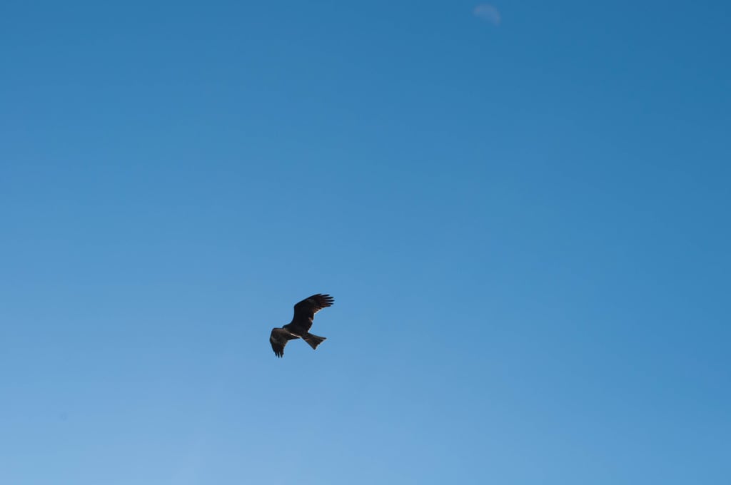 DSC_0322.jpg