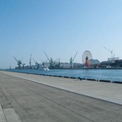 DSC_0425.jpg