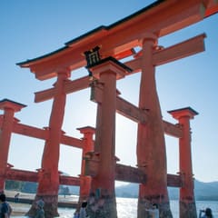 DSC_0333.jpg