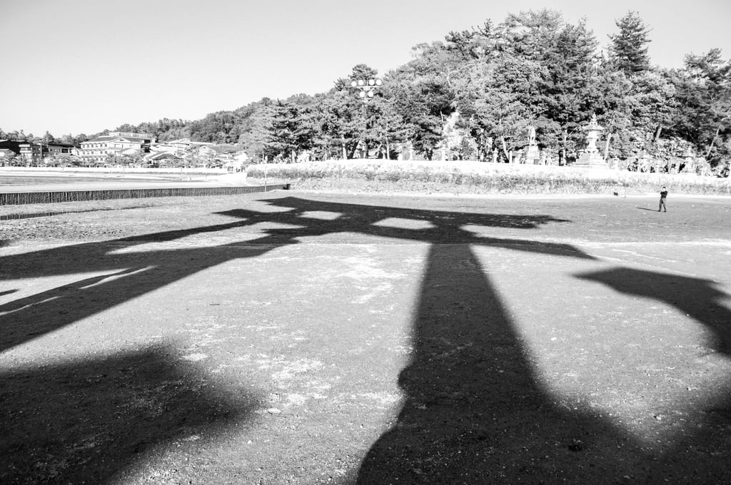 DSC_0335.jpg