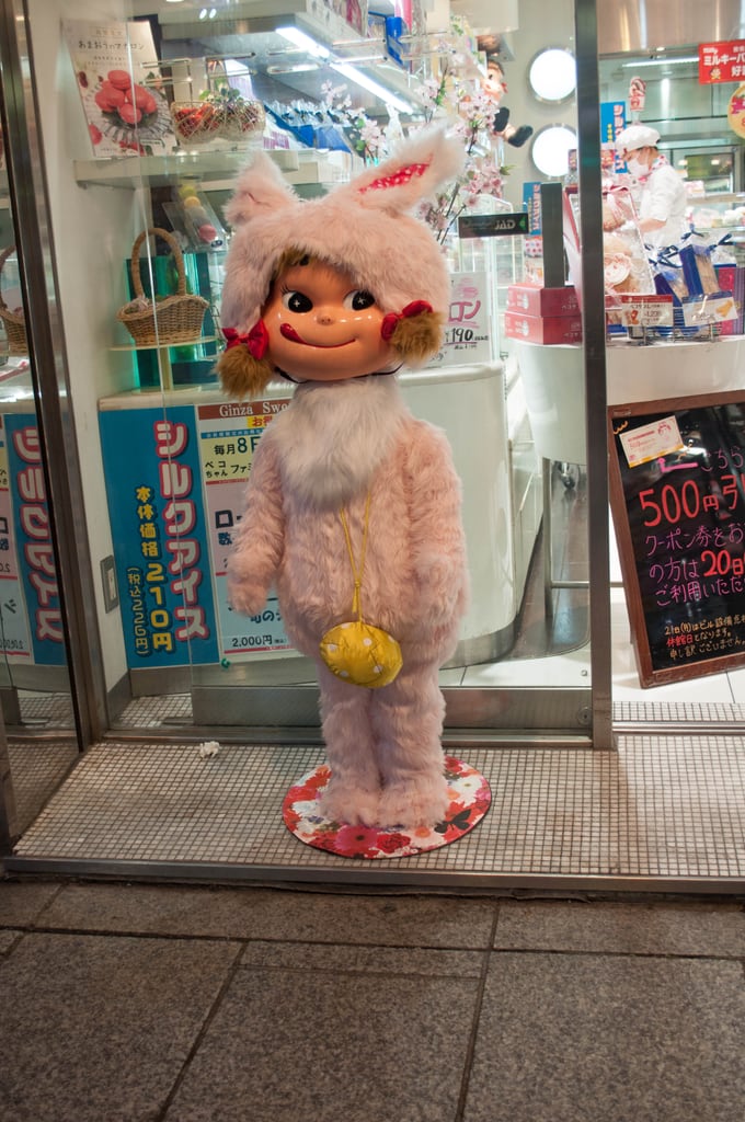 DSC_0460.jpg