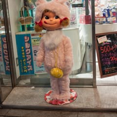 DSC_0460.jpg