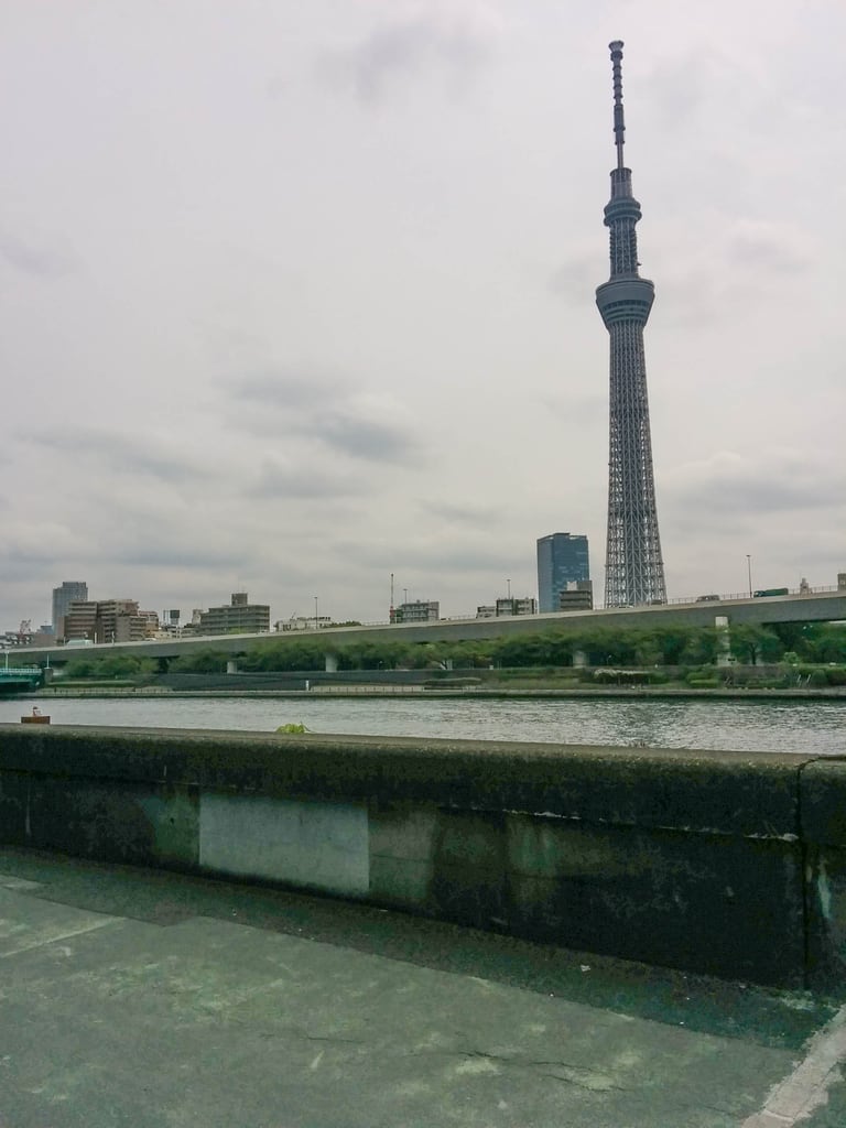 IMG_20140420_103813.jpg