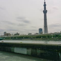 IMG_20140420_103813.jpg