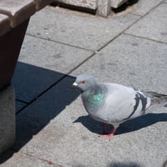 DSC_0231.jpg