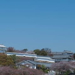 DSC_0394.jpg