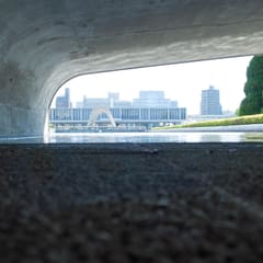 DSC_0246.jpg