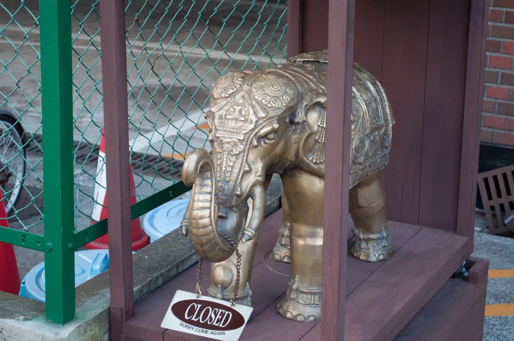 Elephant