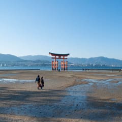 DSC_0356.jpg