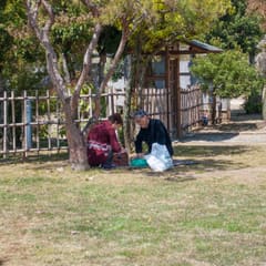 DSC_0410.jpg