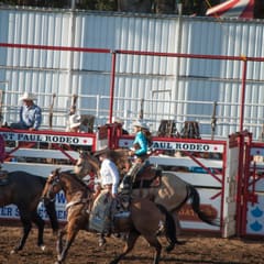 DSC_0056.jpg