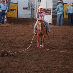 DSC_0201.jpg