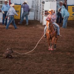 DSC_0202.jpg